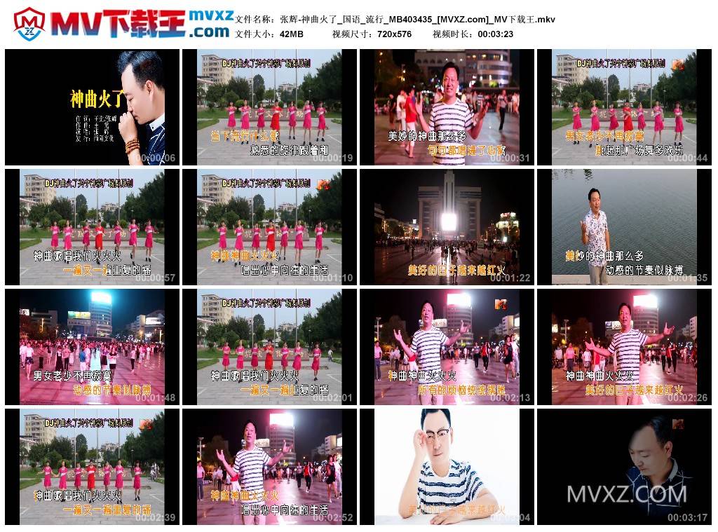 张辉-神曲火了_国语_流行_MB403435